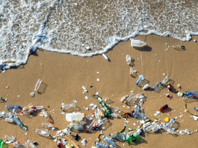 Foto: New Scientist