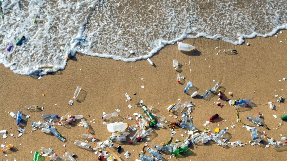 Foto: New Scientist