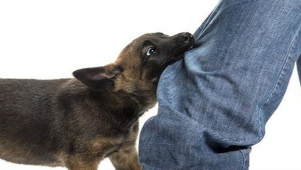 Foto: Rode Kruis Nederland